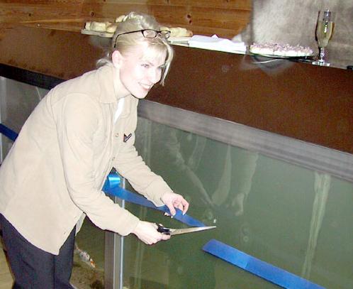 [Koiquarium's grand opening in 2002]